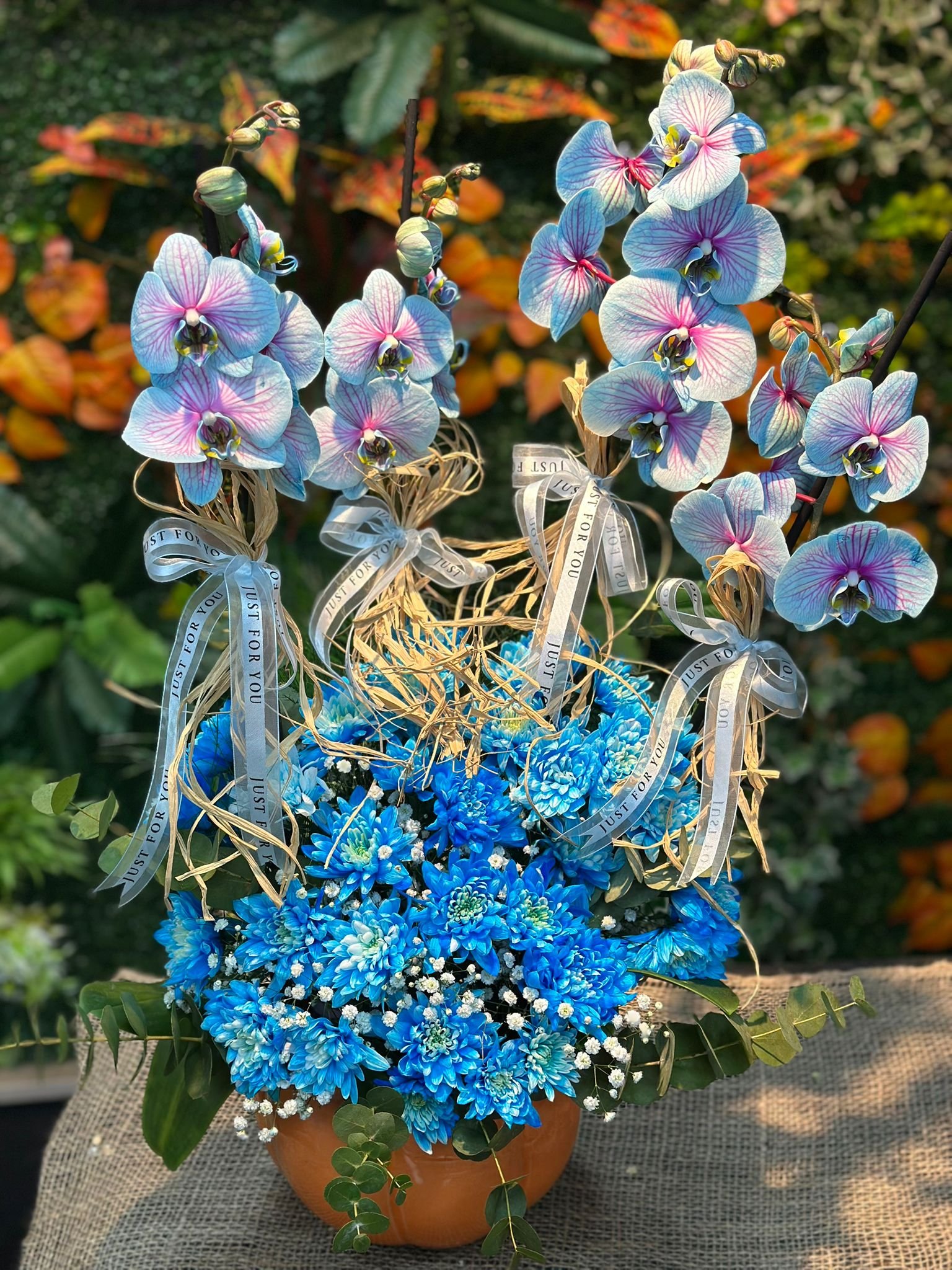 4 Dal Threecolour Orkide Aranjmanı