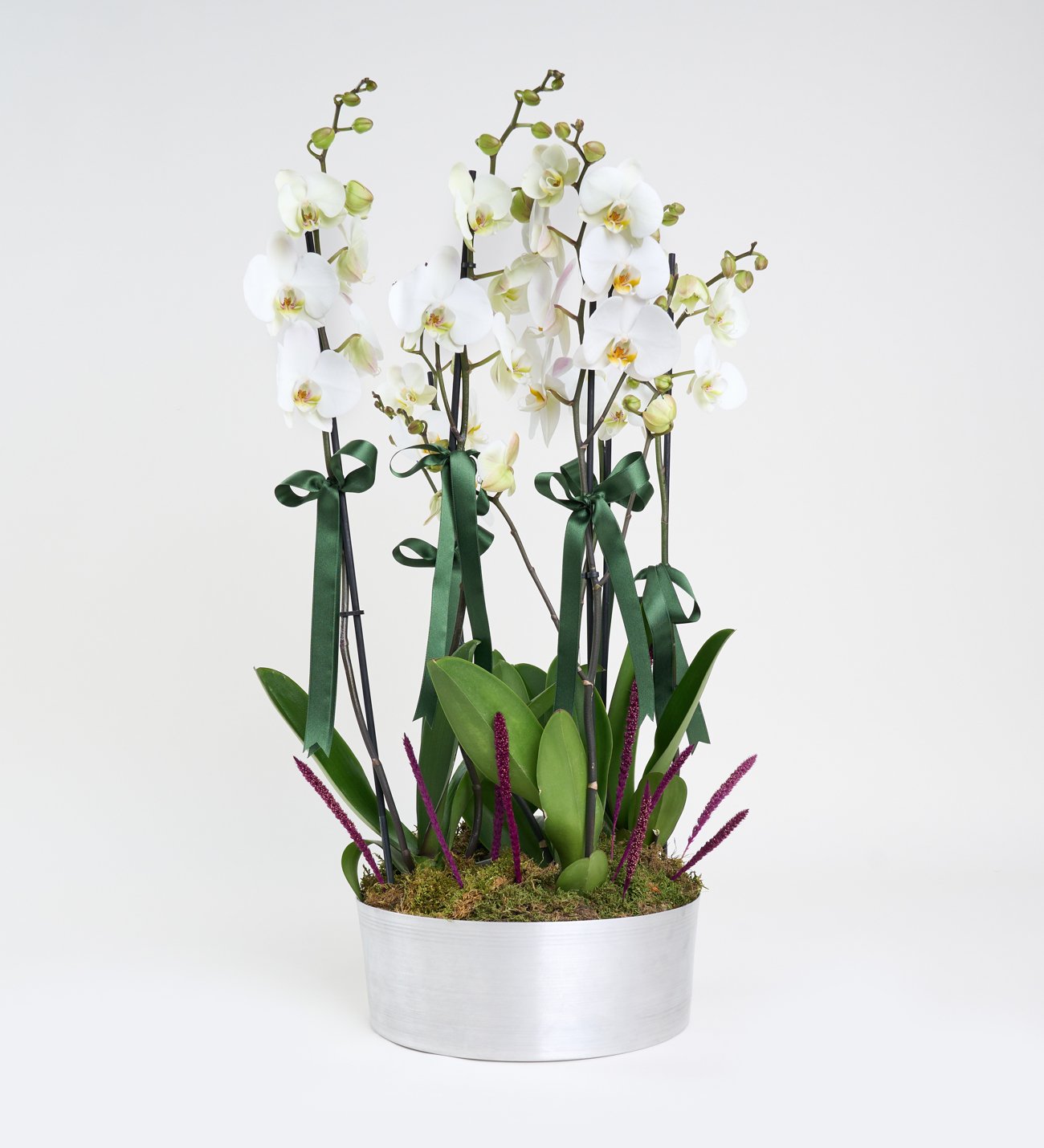 6 Dal Beyaz Orkide Aranjmanı