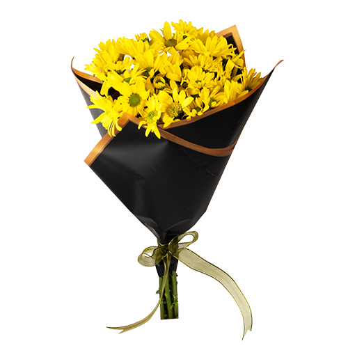 Siyah Kağıtta Sarı Papatya Buketi