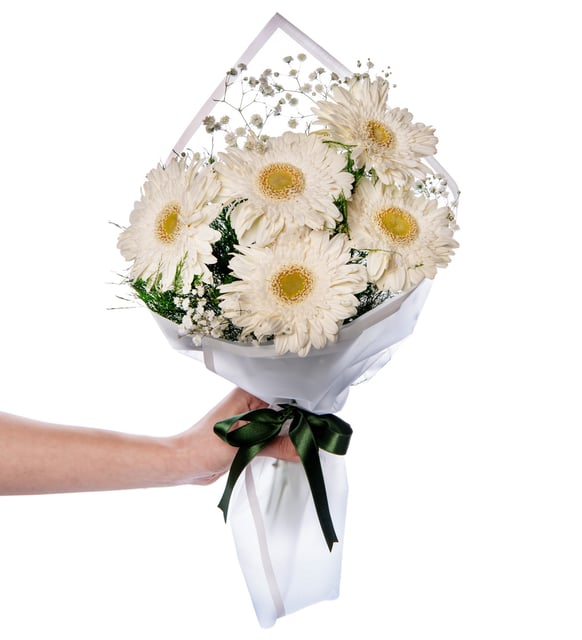 Beyaz Çizgili Beyaz Bukette Gerberalar Mizu