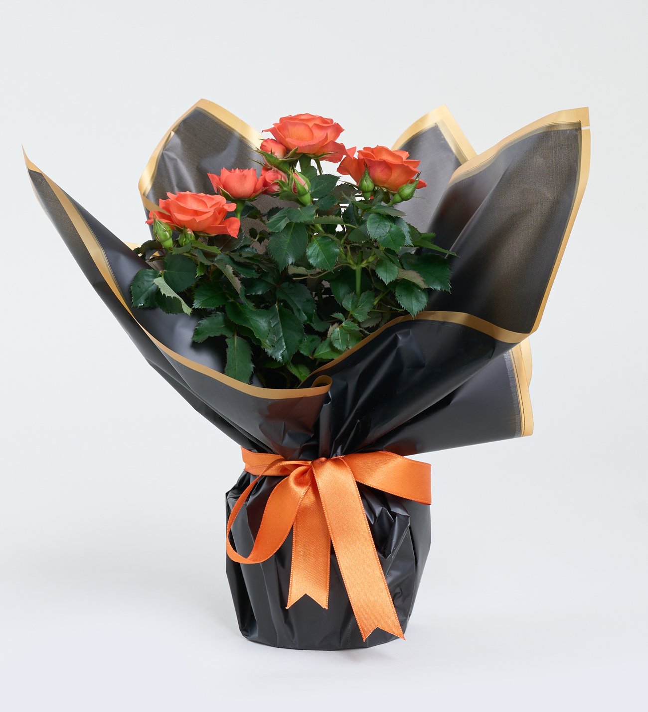 Siyah Buketli Beyaz Beton Saksıda Turuncu Gül